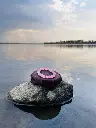 IMG_20250608_162001_466.webp