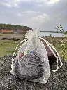 1000063664.webp