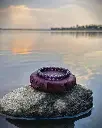 1000069503.webp