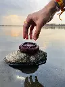1000069499.webp