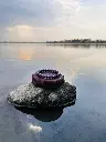 1000069500.webp