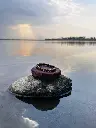 1000069511.webp
